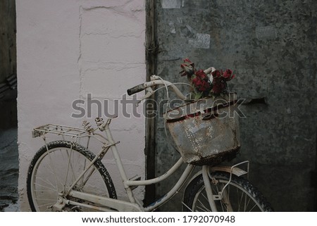 This picture is 'bicycle'. flower in the bicycle basket.