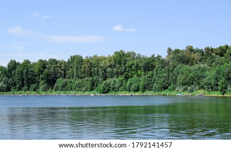 Forest lake trees landscape. Lake view in summer. Sun glare on the water surface. Selective focus.