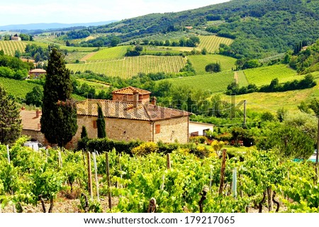  View through vineyards with stone house, Tuscany, Italy Royalty-Free Stock Photo #179217065