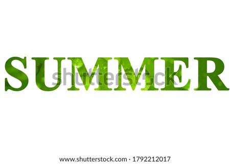 Text Summer on isolated white background. Water drops on fresh green leaf. Natural background.