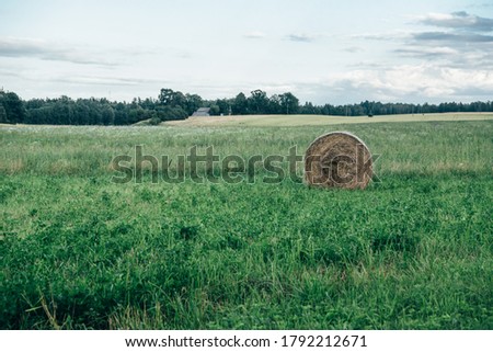 Hay in a green rural field