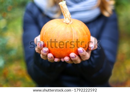 Blonde woman in blue puffer coat and light blue scarf holds in hands small orange pumpkin. Closeup. Autumn forest photo shoot. Outdoors park background. Rowan trees. Fall harvest or Halloween concept.