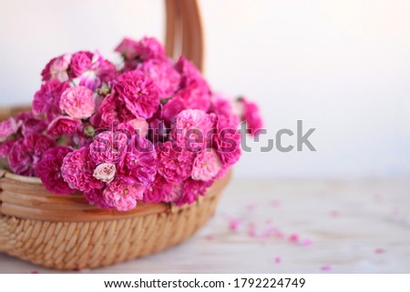 Climbing pink roses in a wicker basket on an old shabby table.Beautiful bouquet roses blooming close up in light wooden background.Greeting card mom's, valentines, wedding, woman's day concept.