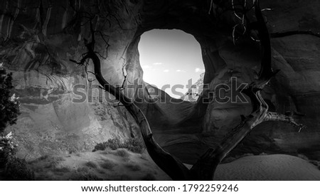 Black and White Photo of Dead Tree in front of The Ear of The Wind, a hole in a rock formation in Monument Valley Navajo Tribal Park on the border of Utah and Arizona, United States