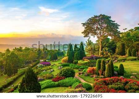 Beautiful garden of colorful flowers on hill in the morning Royalty-Free Stock Photo #179226695