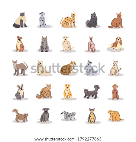 set of pets, different breeds of dogs and cats vector illustration design