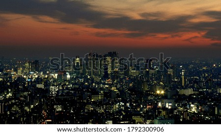 Tokyo cityscape in the early evening