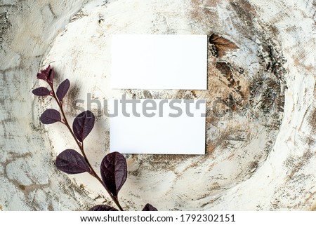 Mock-up for branding identity. Photo of blank white business cards. Blank cards for portfolio and project presentation. Vintage wood background with plant