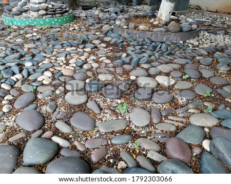 A photograph of rocks in rock garden