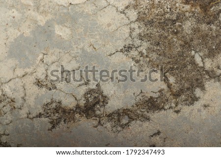 Germs, mold on cement floors, dirty viruses.