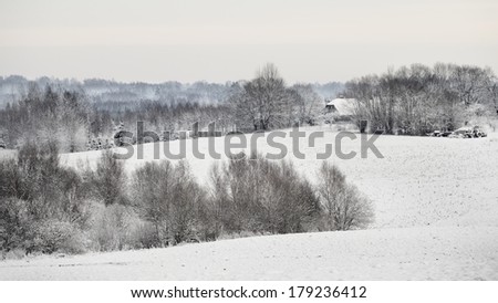 Winter wonderland in snow covered forest and rural area. Latvia