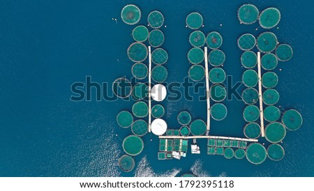 Aerial drone photo of large fish farming unit of sea bass and sea bream in growing cages in calm deep waters of Galaxidi area, Greece