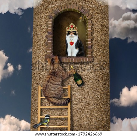 The cat with a bottle of wine climbs up a wooden ladder to a high tower where his beloved is.