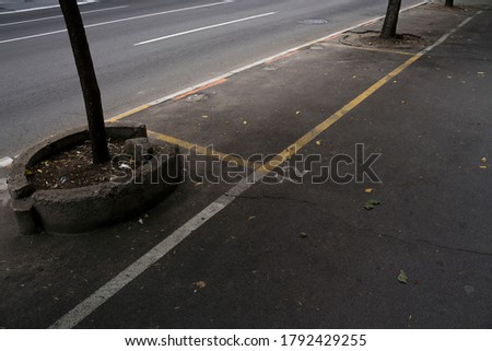 A parking spot on the sidewalk between two young trees, marked with yellow lines