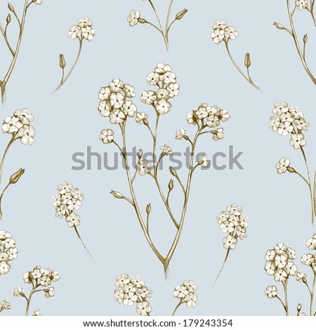 Forget me not flower drawings. Seamless pattern 