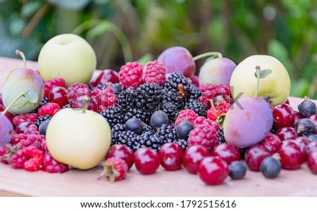 Ripe wild berries of blackberry, red cherry, raspberry, black currant, apples and plums lie on an abstract green background