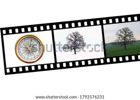Abstract image with compass and trees on abstract film strip on white background as symbol of tourism with compass, travel with compass and outdoor activities with compass