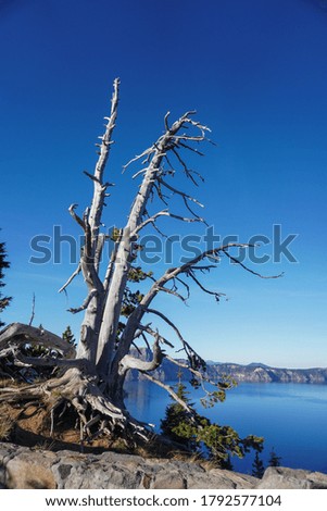 Beautiful view of Crater Lake National Park 