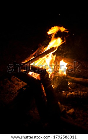 Burning campfire on a dark night in a outdoor