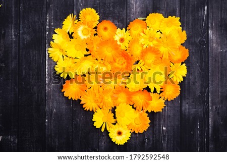 Heart symbol made of fresh yellow flowers isolated on wood background. Love concept for Valentines and Mothers Day.
