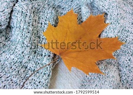 Flat lay composition with yellow maple leave on a gray sweater background. Cozy autumn atmosphere. Top view