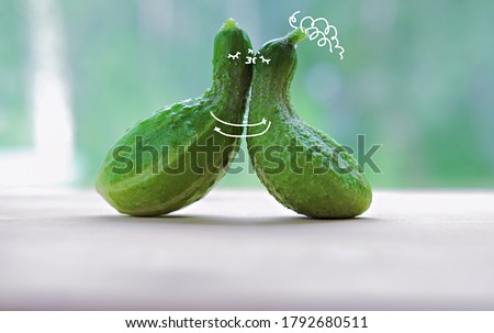 funny kissing cucumbers. cartoon characters in love. paint art on a vegetables. love and togetherness concept. cuddling cuccumbers. selective focus. 