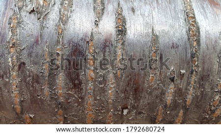 Cherry bark. Cherry bark texture. Vintage background