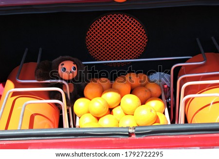 Toy Cheburashka and oranges in the trunk of the car