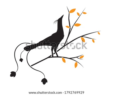 Bird on branch, vector. Bird silhouette on tree in autumn. Wall decals isolated on white background. Wall art, artwork, poster design. Minimalist art design