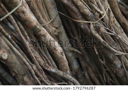 The background of a pile of dry wooden branches