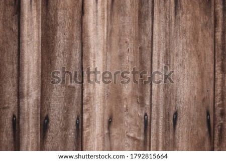 Wood texture background, wood texture, wood background. Wood 