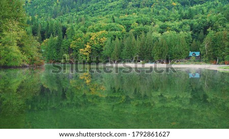 Beautiful nature green forest springtime outdoor tree village lake photography