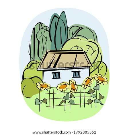 Sunflowers against the background of a small white house (Ukrainian Hut). Poplars, willows in the background. Vector illustration.