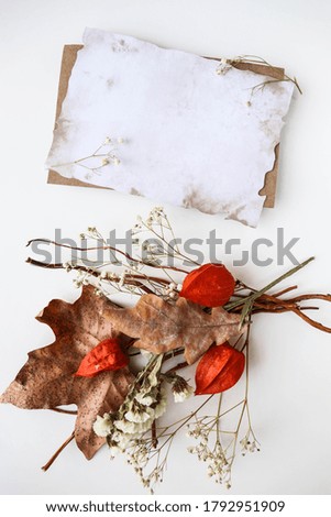 postcard layout. autumn composition of dry colorful leaves. invitation. congratulation