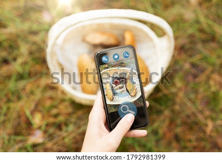 technology, nature and picking season concept - close up of hand with mushrooms in basket on smartphone screen using search application in autumn forest