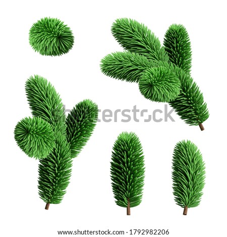 3d render, set of Christmas tree spruce twigs elements, festive natural clip art isolated on white background, collection of green coniferous branches.