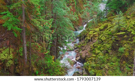 Waterfalls inside green forest beautiful nature photography