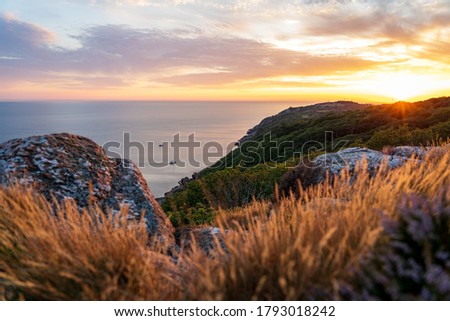 Gorgeous sunset at Kullaberg nature reserve in south Sweden. Blurred foreground. Selective focus. Royalty-Free Stock Photo #1793018242