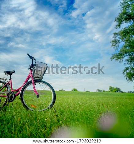 Female bicycle with a basket stands on a green blooming field on blue sky background, summer vacation