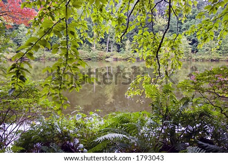 Color DSLR picture of a small pond in the forest through green leaves with reflections in the water.  Horizontal orientation.