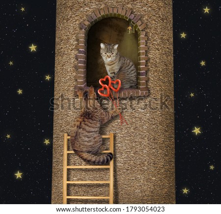 At night the cat with a bouquet of heart shaped sausages climbs up a wooden ladder to a high tower where his beloved is.