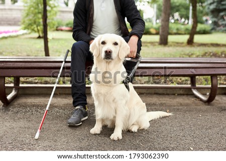 young sick man with helpful guide dog in city streets, sit having rest, man and golden retriever, in love Royalty-Free Stock Photo #1793062390
