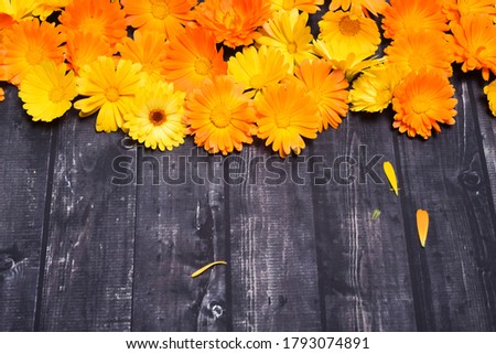 yellow summer flowers on a wooden table top view