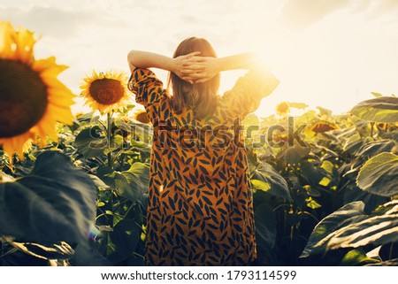 Back iew picture of young stylish trendy woman holding hands behind head and looking at sunrise or sunset. Stand alone around beautiful sunflower's field. Nature and outdoors
