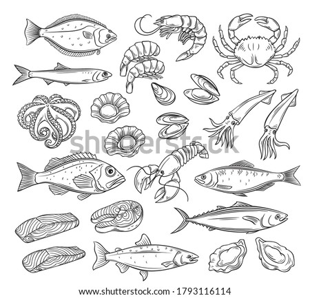 Seafood set. Hand drawn icons herring squid, octopus, salmon, halibut oysters and scallops. Engraved vector illustration of lobster, red perch ,crab, tuna, shellfish and mussels.
