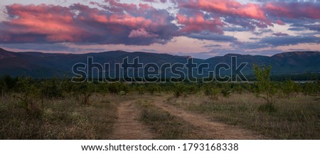 Panorama landscape with pink clouds. Country road and forest with mountains. Beautiful summer landscape at sunset. Peace and tranquility. Rural motif.