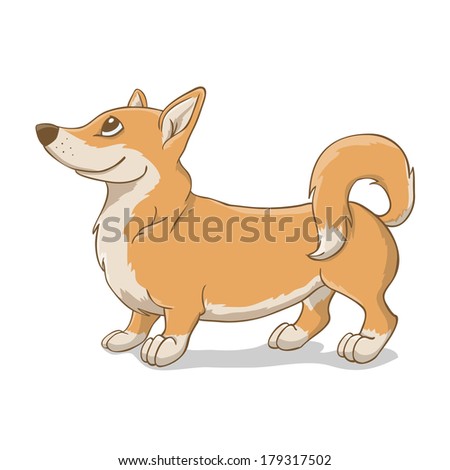 Welsh corgi terrier. Queen dog. illustration.
