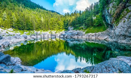 Mountain landscape, Green lake and forest in front of mountain range in Triglav national park, Slovenia, Europe. 