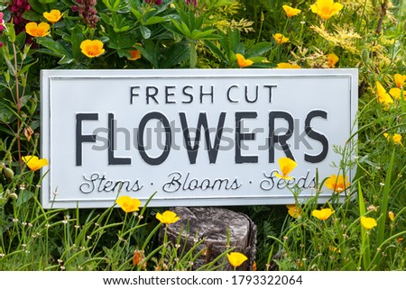 Beautiful summer flowers in a garden bed with a white sign saying fresh cut flowers. Close up of an amazing display of blooming plants of many colours with a new modern sign hidden in the flowerbed.
