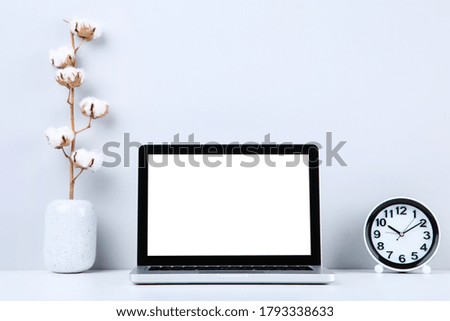 Laptop computer with cotton branch and round clock on grey background
